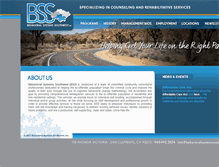 Tablet Screenshot of behavioralsystemssouthwest.com